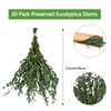 HIAGROW Real Eucalyptus Stems Greenery Decor 20PCS 17" Dried Willow