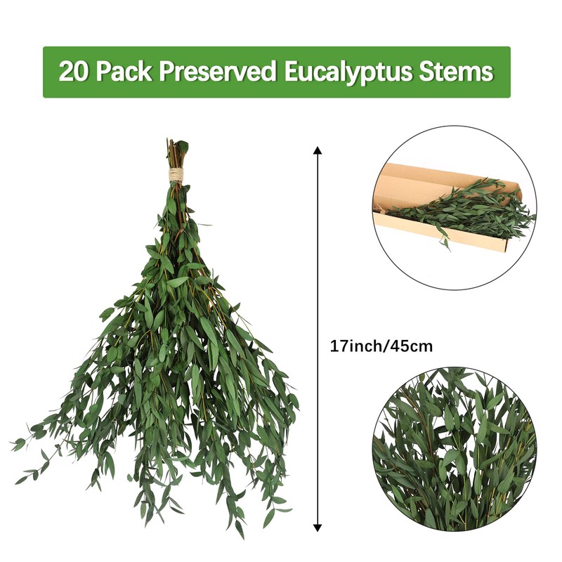 HIAGROW Real Eucalyptus Stems Greenery Decor 20PCS 17" Dried Willow