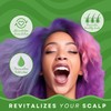 C B SMOOTHE Oil, Natural Hair Growth Serum with Tea