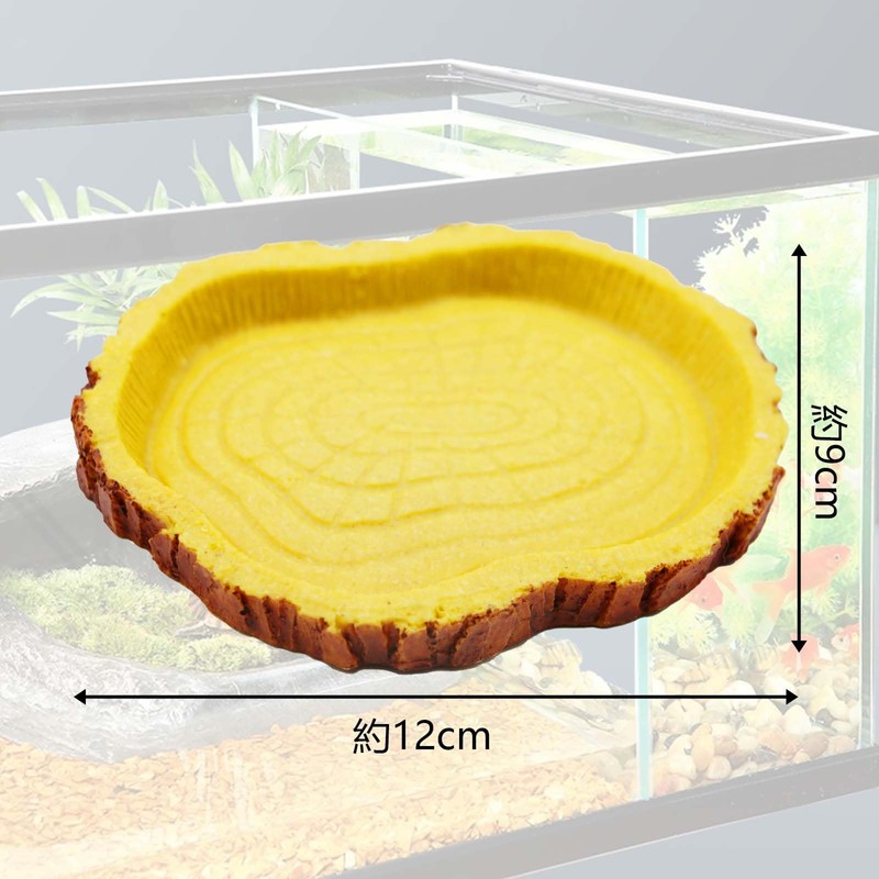 PAVIKE Reptile Bait Food Bowl Reptile Water Tray Reptile Feeding