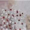 Tomoni Nail Sticker Strawberry 5676, 1 Piece / 토모니 네일스티커 스트로베리 5676, 1개