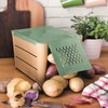 Snips Potato and vegetable container, brown and green, 3 kg,