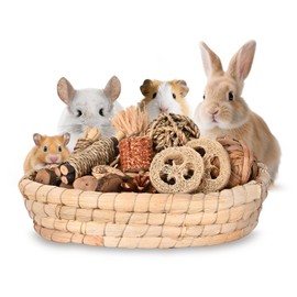 Twilumin 32PCS Rabbit Chew Treat Toys for Teeth Health, Natural Bunny Enrichment Toys for Boredom & Stress Relief, Keep Busy Toys for Guinea Pig Chinchilla Hamster Rat Gerbil Degu Indoor Outdoor