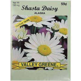 Set of Flower Seed Packets! Flower Seeds in Bulk - Great for Creating The Garden of Your Dreams! (100, Shasta Daisy - Alaska)