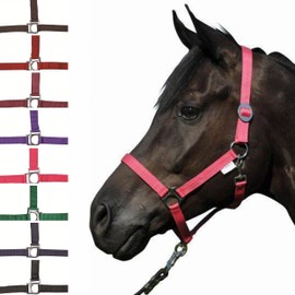 HKM Stars Economy 558545 Headcollar