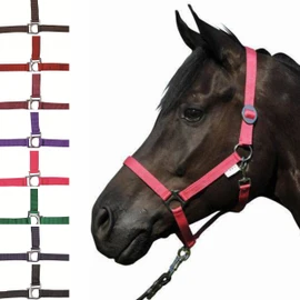 HKM Stars Economy 558545 Headcollar
