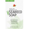 Reviva Original Formula Seaweed Soap 4.5 OZ. (127.5 G), Naturally