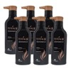 Minoxel Scalp Intensive Shampoo 400ml Hair Loss Relief 6 Pieces Ss / 마이녹셀 스칼프 인텐시브 샴푸 400ml 탈 모완화 6개 Ss