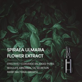 Anti Pickel Creme gegen Unreine Haut 30g | Acne Treatment | Pickelmale Entfernen, Pflanzenextrakte | IMIM Akne Creme gegen Pickel, Parfümfrei, Schonende Pflege