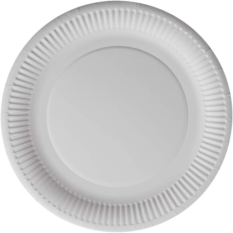 aaksh 555 Strong Paper Plates,23cm (100pcs) Party Plates for Hot