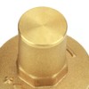 DN20 Adjustable Brass Water Pressure Reducer Valve with Gauge Meter