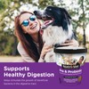 Nutri-Vet Pre & Probiotics for Dogs, Digestive Support, Upset Stomach,