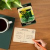 Herbs (dill) Seed Packet (4x6 Birch Wood Postcards, 2-Pack Stationary,