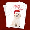 Labrador Love Holiday Card Pack / 25 Cards And Envelopes