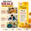 Ambrosoli Mielness Miel-B 150 ml – Integratore Alimentare con Miele