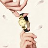 NN BEN NEVIS Watches for Women Elegant Classic Small Gold