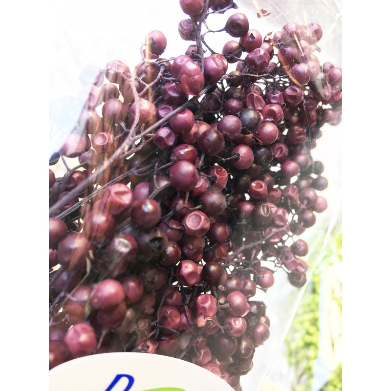 Daichi Farm DO003380-400 Preserved Flowers, Pepperberry Preserved, Purple, Approx. L