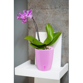 DECOPOTS - Self Watering Orchids Pot - Plant Pots Ideal for Orchid Flower - Drainage and Water Level Indicator - Planter Pot with Self-Watering Feature (5.5", Lavender)
