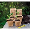 Growing Pot Pots 6 cm Square (22)
