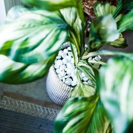 Galashield Flat Glass Marbles for Vases White Glass Gems Beads Pebbles Vase Filler (5 LBS, Approx. 540 PCS)