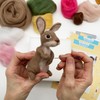 Bergin & Bath Needle Felting Kit Bunny. Craft kit for