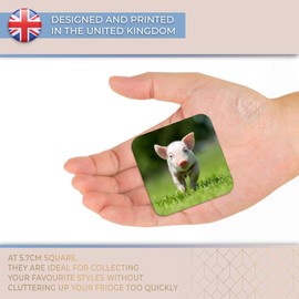 Destination Vinyl ltd Fridge Magnet - Cute Pink Piglet Farm Animal Pigs for Office, Cabinet and Whiteboard, Magnetic Stickers, 44802