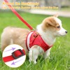 Dog Harness and Lead Set, Soft Mesh Padded Harness, Air