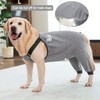 Dog Recovery Suit for Hid Leg, Soft Stretchy Pants for
