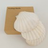 Scallop Shells Sea Shells Decoration, for Baking Shells, Vase Fillers,