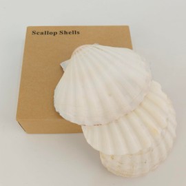 Scallop Shells Sea Shells Decoration, for Baking Shells, Vase Fillers, Crafts DIY Painting Beaching Wedding Decoration, Beach Natural Bulk