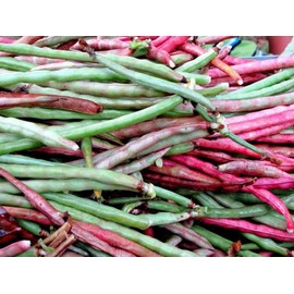 TomorrowSeeds - Top Pick Brown Crowder Cowpea Seeds - 150+ Count - for 2025 Planting Non-GMO USA Vegetable Pink Red Cowpea Field Pea Cover Crop Green Bean Grow Your Own Home Farm Patio Healthy