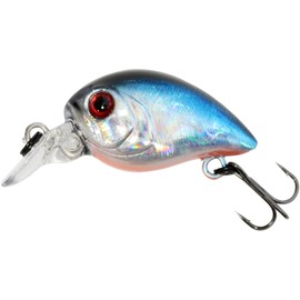 SEABUZZ Wobbler Chub Bug 2.5 g x 2.7 cm Flat Runner 0.5 m - Pike Zander Trout Bass Catfish Fishing Lure with Treble Hook - Predator Fishing Bait - Artificial Bait - Trout Bait - Fishing Lures