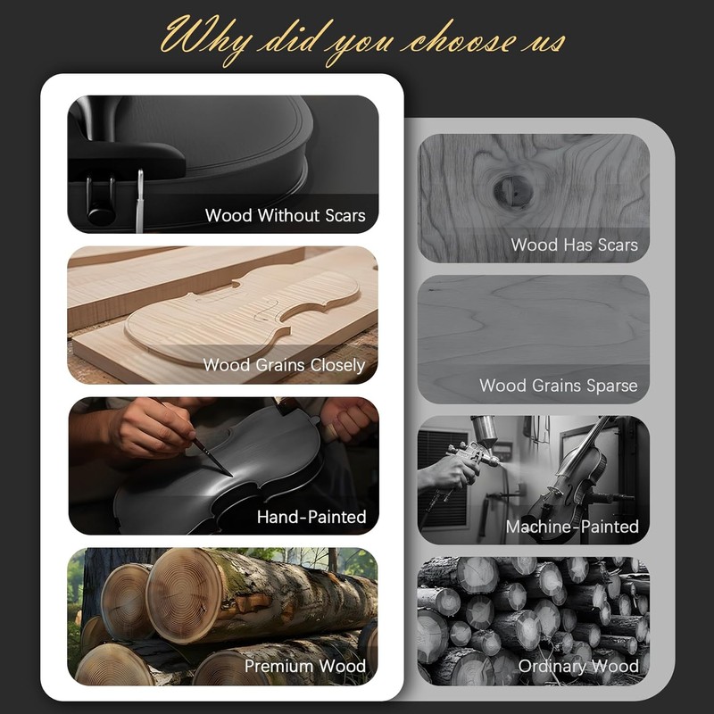 4/4 Beginner Violin Kit for Adults, Complete Full Size Violin