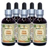 Uva Ursi (Arctostaphylos uva-ursi) Tincture, Organic Dried Herb Liquid Extract (Brand name: HerbalTerra, Proudly made in USA) 5x2 fl.oz (5x60 ml)