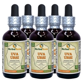 Uva Ursi (Arctostaphylos uva-ursi) Tincture, Organic Dried Herb Liquid Extract (Brand name: HerbalTerra, Proudly made in USA) 5x2 fl.oz (5x60 ml)