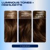 Clairol Nice'n Easy Permanent Hair Dye, 4 Dark Brown Hair