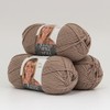 Lion Brand 3-Pack Vanna's Style 100% Acrylic Soft Yarn for