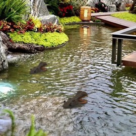 Hippo Decor Pond Floating Hippo 11.4'' Duck Deterrents for Pools Lifelike Hippo Statue, Fake Resin Hippo Pool Float Animal Ornament for Pond Decorations Outdoor 1 Duck Deterrents for Pools