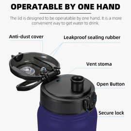 Fanhaw 1 L Insulated Stainless Steel Water Bottle with 1 Lid (Chug Lid) - For Kids, Women, Men | Leak & Sweat Proof with Anti-Dust Lid (Purple Green)