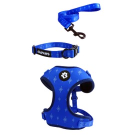 Trendy Paws Small Dog Harness Set (Cobalt, Medium)