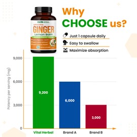 VITAL HERBAL Liposomal Ginger with Lemon Balm, Cinnamon- Maximum Potency - Supports Digestion, Joints, Immune Health - Made in The USA