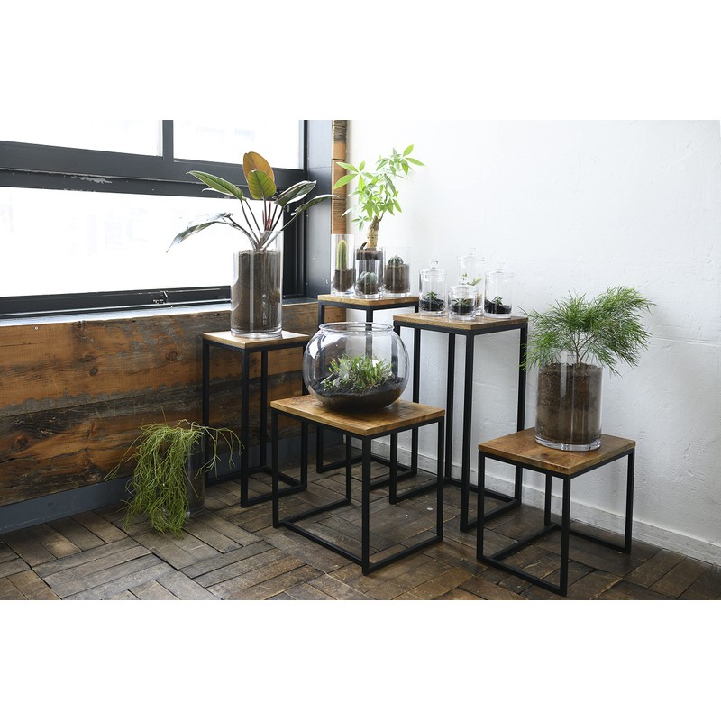 FOYER 2300033 Unbreakable Flower Base Polycarbonate, Stylish, Height 9.8 inches