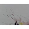 PPD Watercolor Printer Paper, 11 x 17 inches, 25 Sheets,