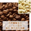 Cold Brew Coffee Bag, Daiginjo Brazil Galaxy Coffee (1.4 oz