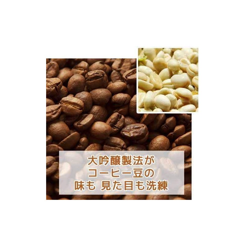 Cold Brew Coffee Bag, Daiginjo Brazil Galaxy Coffee (1.4 oz
