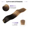 Sindra Clip-In Natural Hair Extensions, Balayage Black to Medium Brown,