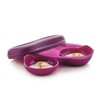 Tupperware Microwave Breakfast Maker Set in Rhubarb
