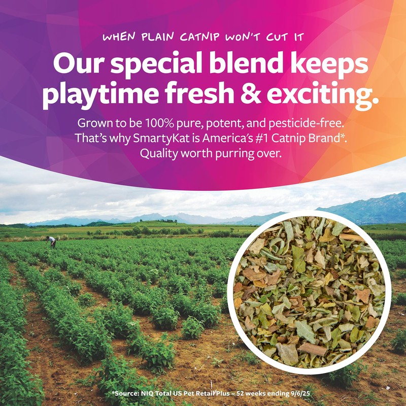 SmartyKat Flutter Balls Catnip Plush and Feather Cat Toys, Erratic