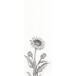 Yasutomo Artist Pencil, Black, 1.1mm