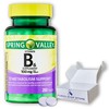 Spring Valley Vitamin B6-100mg, 250 Tablets (Pack of 1), Boxed